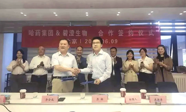 哈藥攜手清華大學(xué)，強強聯(lián)合共創(chuàng  )膠原蛋白行業(yè)未來(lái)